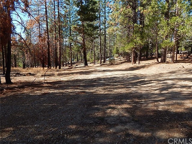 86 Tamarack Trail, North Fork, CA 93643