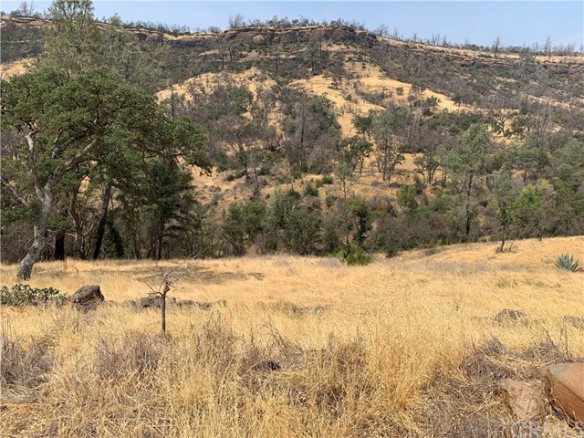 3923 Dry Creek Road, Butte Valley, CA 95965